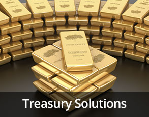 Treasury-Solutions